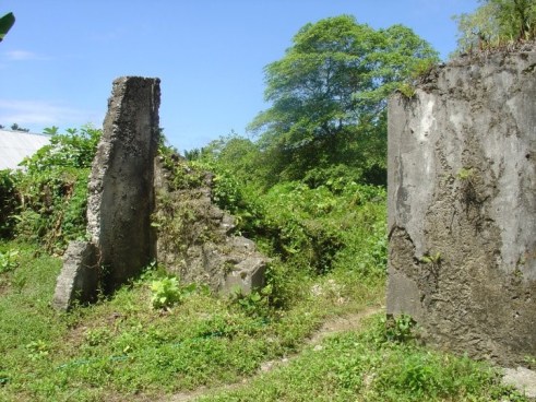 My future is in ruins. Indonesian nutmeg plantation ruins, that is.